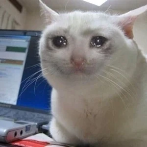 The teary-eyed cat meme